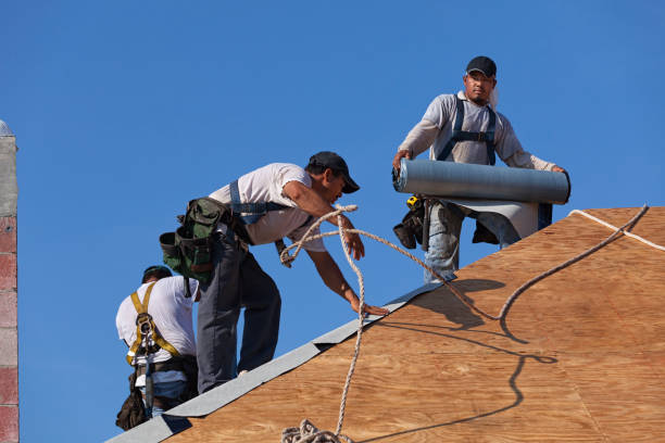 Best Roof Maintenance Services  in Meridian Hills, IN