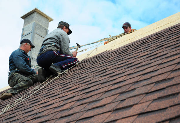 Best Roof Gutter Cleaning  in Meridian Hills, IN