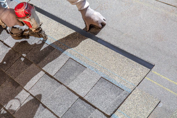 Best Roof Gutter Cleaning  in Meridian Hills, IN